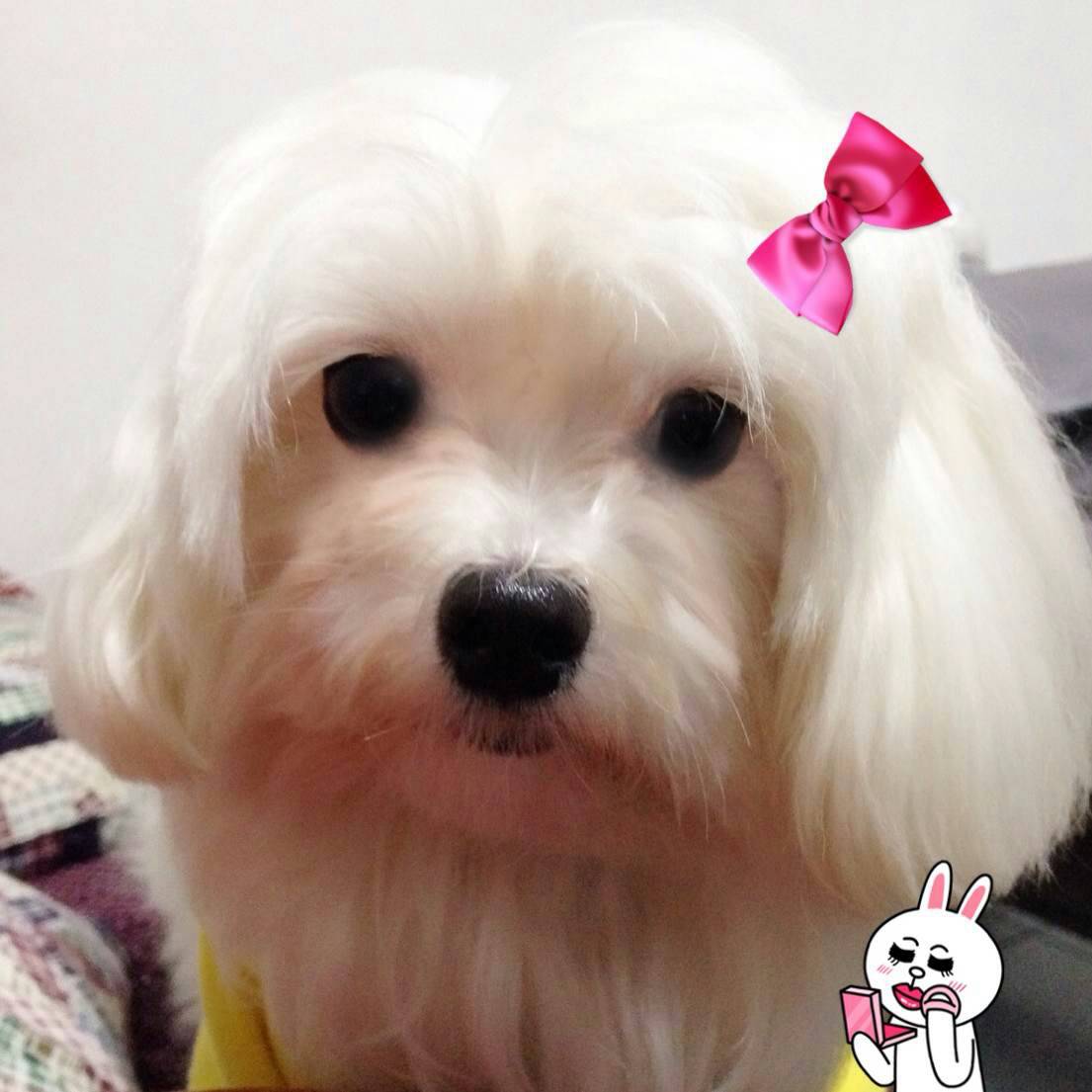 點擊查看原圖
